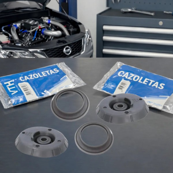 Kit X2 Cazoletas Vth + Crapodinas Skf 208 301 2008 C3