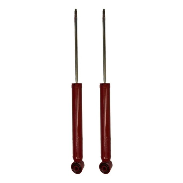 Kit X 2 Amortiguadores Traseros Fric-rot Vento.