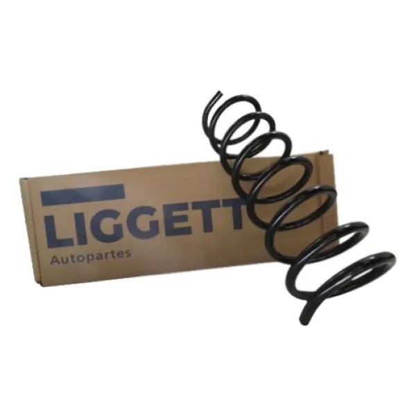 Kit X2 Resorte Trasero Chevrolet Astra (02/11) Liggett