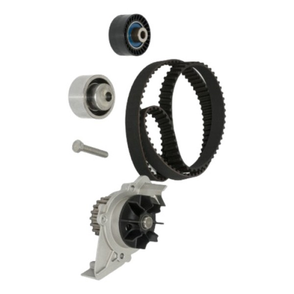 Kit De Distribucion C/bomba Peugeot 206 1.9 Dw8 Skf