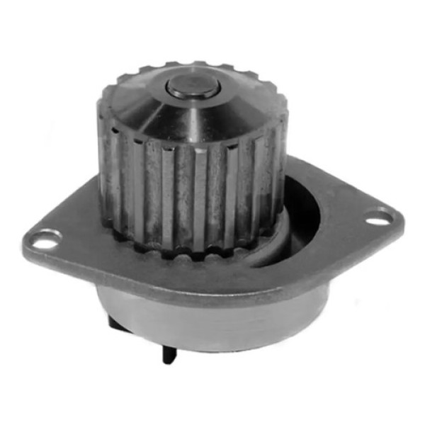 Bomba De Agua Citroen C4/c4 Lounge 1.6 16v Nafta Skf