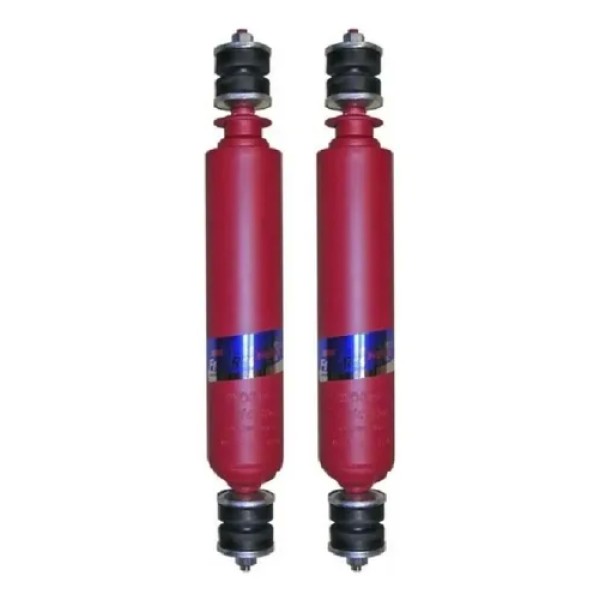 Kit X2 Amortiguador Delan Fric Rot Petrolero F100 Tib 66/91