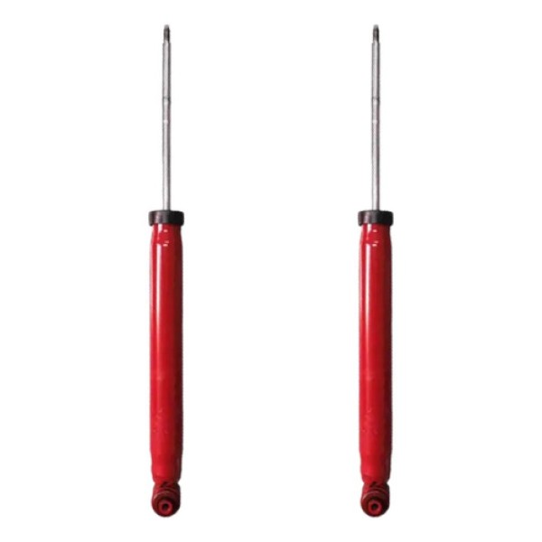 Kit X2 Amortiguadores Traseros 307 C4  Fric Rot Max