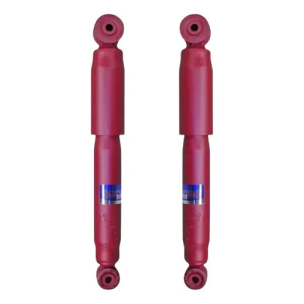 Kit X2 Amortiguadores Traseros Fric Rot Renault Kangoo 18/24