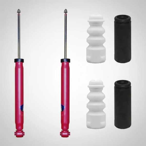 Kit X2 Amortiguadores Traseros Fric Rot Peugeot 408 308