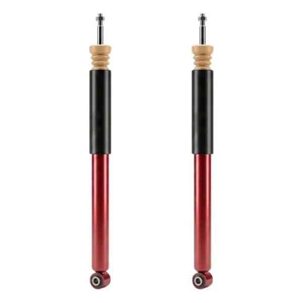 Kit X2 Amortiguadores Traseros Ford Focus Ii 08/13 Fric Rot