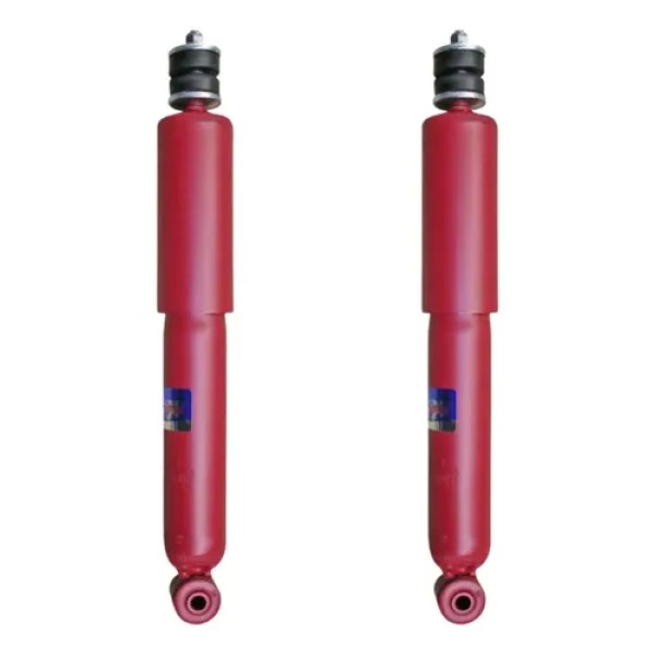 Kit X2 Amortiguador Traseros Fric Rot Ford F100 92/98